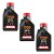 Kit 3 Oleos + Filtro Harley Davidson Faty Boy Sportster 883 HF171B - Imagem 3