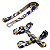 Kit para Cachorros Guia Basic + Peitoral H Moss - Imagem 1