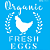 Stencil OPA 14x14 OPA 2923 FarmHouse Organic Fresh Eggs - Imagem 2