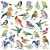 Guardanapo Birds Votes 13311825 Ambiente com 2 peças - Imagem 1