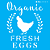Stencil OPA 2903 FarmHouse Organic Fresh Eggs 10x10cm - Imagem 2