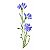 Stencil OPA 10x30 3459 Flores Centaurea Cyanus - Imagem 1