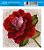 Papel Decoupage Arte Francesa Litoarte AFX-345 Rosa Vermelha 10x10cm - Imagem 1