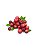Cranberry - Capella - Imagem 1