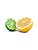 Lemon Lime - Capella - Imagem 1