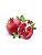 Pomegranate  V2- Capella - Imagem 1
