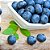 Blueberry Wild - TPA - Imagem 1
