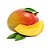 Mango - TPA - Imagem 1