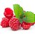 Raspberry Sweet - TPA - Imagem 1
