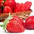 Strawberry - TPA - Imagem 1