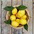 Sicilian Lemon - Creative Flavours - Imagem 1