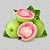 XS Sweet Guava - Capella - Imagem 1