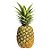 XS Golden Pineapple - Capella - Imagem 1