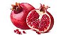 Pomegranate - FA - Imagem 1