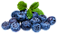 Blueberry - Chemnovatic - Imagem 1