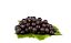 By Capiá  - One shot - Grape Berries - Imagem 1