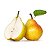 Pear Concentrate - INW - Imagem 1