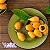 Nisperos (Fruit) - WF - Imagem 1