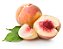 Nectar Peach - Molinberry - Imagem 1