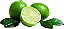 Green lime - Molinberry - Imagem 1