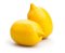 Original Lemon - Flavor Jungle (FJ) - Imagem 1