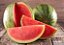 Watermelon - Flavor Jungle (FJ) - Imagem 1