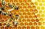 Honey Bee - FLV - Imagem 1