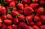 Strawberry - Hangsen - Imagem 1