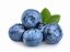 Blueberry - Wrecka - Imagem 1
