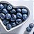 Blueberry - FW - Imagem 1