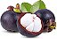 Mangosteen - FA - Imagem 1