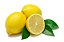 Lemon Lime II - TPA - Imagem 1