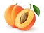 Amardeen (apricot) - WF - Imagem 1