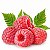 Raspberry - Purilum - Imagem 1