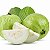 White Guava - Essential Flavors (EF) - Imagem 1
