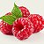 Raspberry - Essential Flavors (EF) - Imagem 1