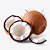 Coconut - Essential Flavors (EF) - Imagem 1