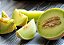 Honeydew - Essential Flavors (EF) - Imagem 1