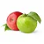 Double Apple - FW - Imagem 1