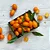 Kumquat - WF - Imagem 1