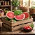 Fresh Watermelon - WhalEssence - Imagem 1