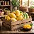 Malaysian Mango - WhalEssence - Imagem 1