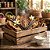 Vanilla Creamy Tobacco - WhalEssence - Imagem 1