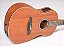 Violão Aço Elétrico MGS Fosco SY25 - STRINBERG - Imagem 4
