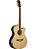 Violão medium jumbo cutway aço WS-35 EQ - TAGIMA - Imagem 3