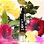Stick Multiuso Toque de Magia - ZANPHY - Imagem 4