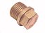 Kit Bujao Filtro de Lubrificante 18X1.5 para Alternador 13M Sextavado Mercedes OM 352/355/OM447/OM449LA - 3469970130 - Imagem 1