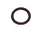 Kit Anel de Bujao Retarder 21X4 Viton para Scania Série 4 - 750226 - Imagem 1