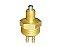 Interruptor Re/Neutro em Latão para Câmbio Sca FTRSK112/TR142 G770 - 314572 - Imagem 1