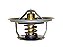 Válvula Termostática 71 Graus para Sca R112/R113 - 524942 - Imagem 1